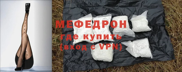 индика Осинники